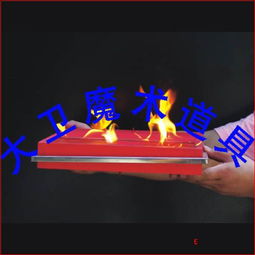 雙門子爆鴿板230元