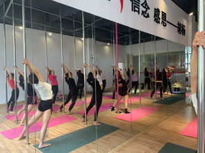 勁爆好消息！胡楊舞蹈周年特惠，僅198元體驗舞蹈魅力！